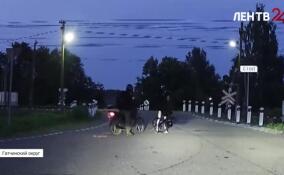 В Дивенском водитель мопеда сбил велосипедистку и скрылся с места ДТП