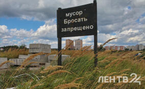 В Ульяновке после звонка жительницы губернатору ликвидируют нелегальную свалку