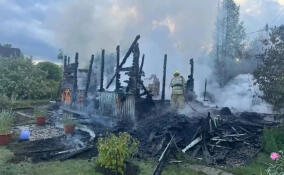 80 пожаров и семь лесных поисков: ленинградские спасатели подвели итоги недели