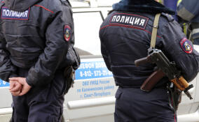 В Выборге мужчина распылил перцовку в лицо прохожему из-за ссоры