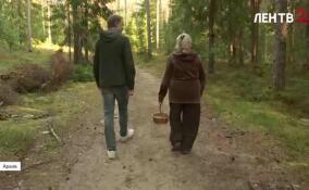 С начала года в лесах Ленобласти спасли более 160 человек