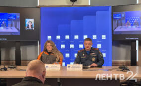 В лесах Ленобласти с начала года в беду попали почти 170 человек