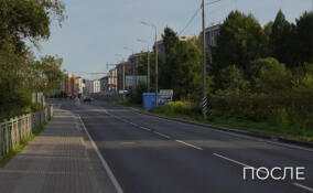 Завершен ремонт участка автодороги Красное Село – Гатчина – Павловск