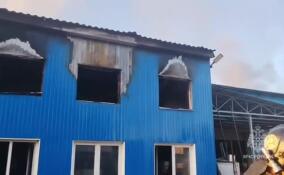 В Вырице потушили пожар на производственном объекте площадью 224 «квадрата»