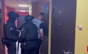 В Петербурге ликвидирован техцентр мошенников: пресечено 8 тысяч ежедневных звонков