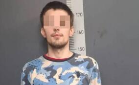 Полиция задержала подозреваемого в обмане пенсионерки из Шлиссельбурга