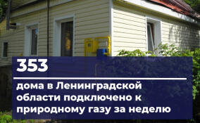Природный газ пришел еще в 353 дома Ленобласти