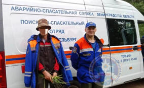 Из леса в Кировском районе вывели заплутавшего мужчину