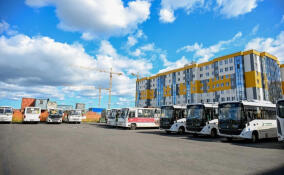 Дорожную сеть Янино-1 готовят к запуску больших автобусов