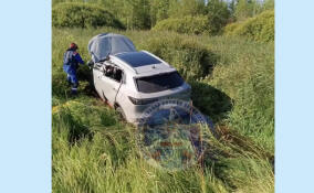 Два человека погибли и еще двое пострадали в ДТП в Тосно