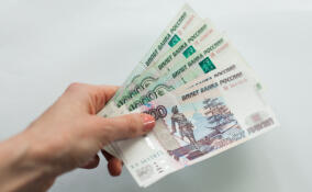 Долги по зарплате в Ленобласти сократились на 40% за год