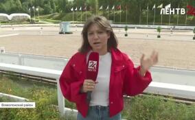 В Ленобласти стартовал чемпионат России по конному спорту для людей с ментальными особенностями