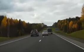 ДТП с выездом на «встречку» за полгода унесли жизни более 50 человек в Ленобласти