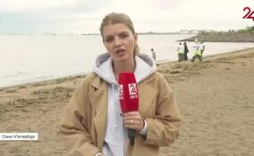 На берегу Финского залива стартовала экологическая акция «Зеленые паруса»