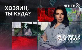 Питомец на лето: почему люди бросают животных после дачного сезона