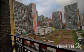 Небольшие дожди и до +21 градуса: о погоде в Ленобласти 18 августа