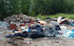 Эконадзор заставил привести в порядок контейнерные площадки в пяти районах Ленобласти
