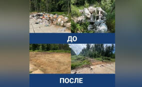 У озера Медное ликвидировали нелегальную свалку