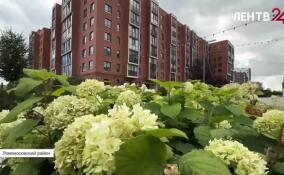 Молодой город Новоселье готовится стать столицей 101-летия Ленобласти