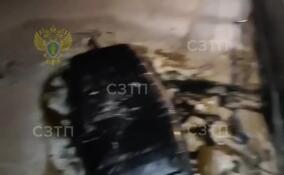 Водитель аэролодки получил шесть лет колонии за гибель трех пассажиров в Ленобласти