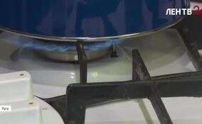 Дом семьи участников СВО в Луге подключили к сетевому газу