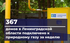 Еще 367 домовладений Ленобласти подключили к газу за неделю