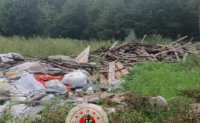 Во Всеволожском районе убрали четыре нелегальные свалки