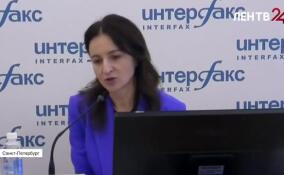 Маринэ Тоноян рассказала о муниципальном земельном контроле на территории Ленобласти