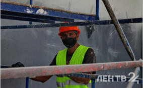 Схему незаконной легализации мигрантов пресекли в Ленобласти