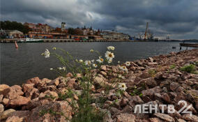 Ветрено и небольшие дожди: о погоде в Ленобласти 21 августа