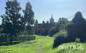 Ленобласть накроют ливни и порывистый ветер 23 августа