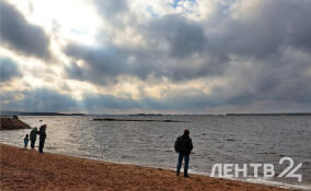 Облачную и дождливую погоду пообещали жителям Ленобласти 24 августа