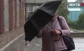 Сильные дожди и ветер накроют некоторые районы Ленобласти