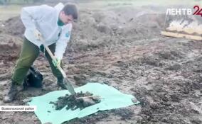 Сотрудники Госэконадзора и полицейские во время рейда зафиксировали сброс отходов в Новосергиевке