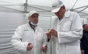 Александр Дрозденко побывал на фабрике по производству сыров в Кобралово