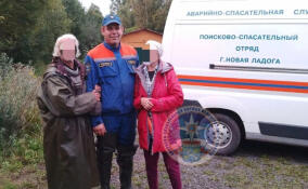 В Волховском районе спасатели пришли на помощь заплутавшему пенсионеру