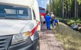 За сутки в Ленобласти спасены 15 человек: статистика от МЧС
