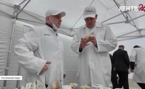 Производство сыров в Кобралово будет расширяться