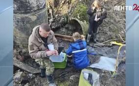 Сотрудники Госэконадзора выявили сброс неочищенных сточных вод в приток Охты