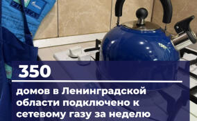 Еще 350 домовладений в Ленобласти подключили к газу за неделю