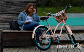До +22, но местами дожди: прогноз погоды в Ленобласти на 27 августа