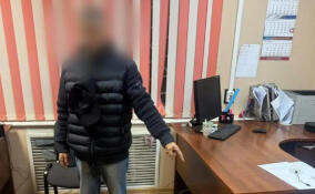 Жителя Ленобласти задержали за кражу телефона и кроссовок у пассажиров поезда «Белгород — Петрозаводск»