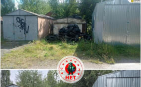 В Приозерске устранена свалка отработанных автопокрышек
