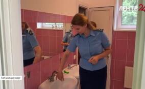 Прокуратура проверила детский лагерь «Лесная сказка»