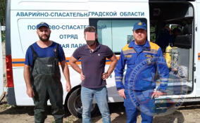В лесу у массива Пупышево искали заплутавшего мужчину