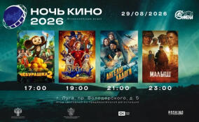 «Ночь кино» пройдет 29 августа в Луге