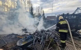 За сутки в Ленобласти ликвидировали восемь пожаров