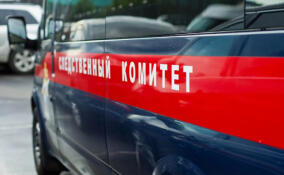 Двух подростков задержали по подозрению в покушении на сбыт наркотиков в Ленобласти
