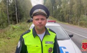 Иномарка врезалась в дерево на трассе в Выборгском районе