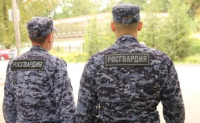 Трехлетнего ребенка, гулявшего без присмотра, заметили стражи порядка в Сосново